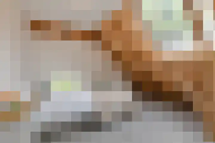 Wechterholt 4 b Wijhe thumbnail 33