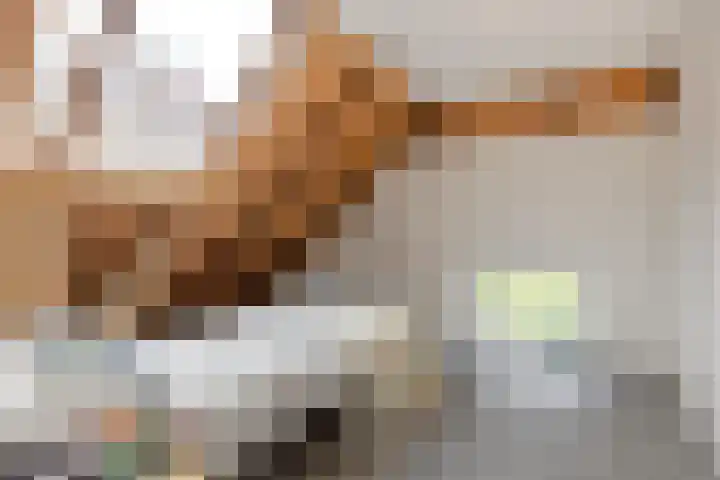 Wechterholt 4 b Wijhe thumbnail 35