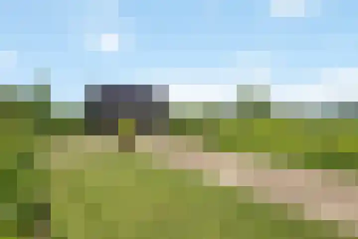 Wechterholt 4 b Wijhe thumbnail 36