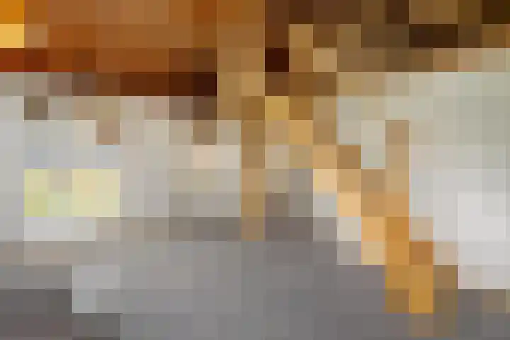 Wechterholt 4 b Wijhe thumbnail 39