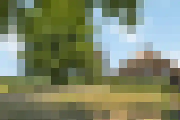 Wechterholt 4 b Wijhe thumbnail 4