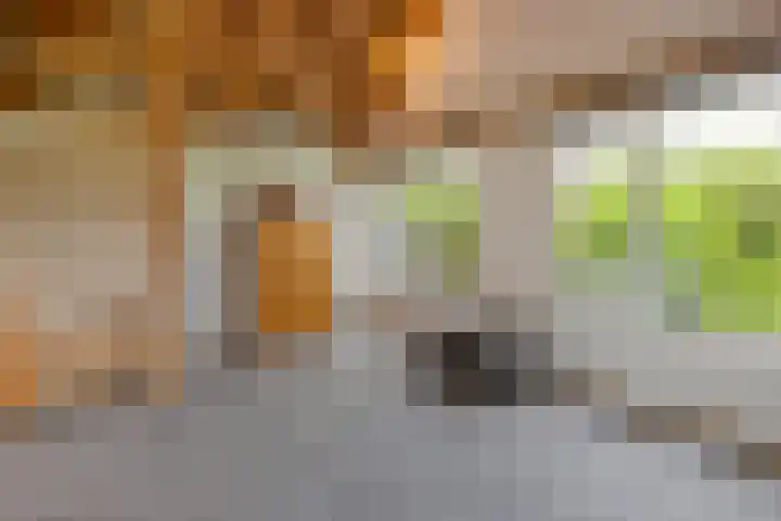 Wechterholt 4 b Wijhe thumbnail 40