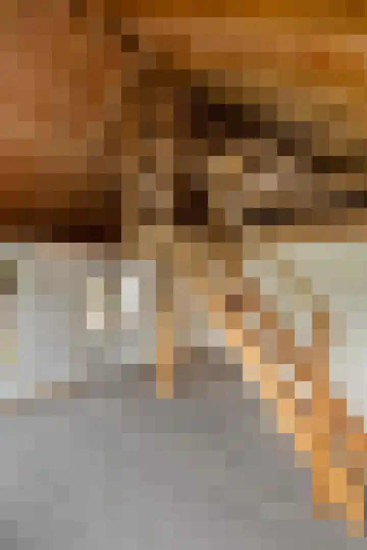 Wechterholt 4 b Wijhe thumbnail 41