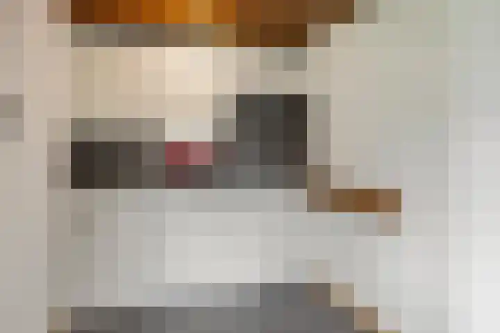 Wechterholt 4 b Wijhe thumbnail 43