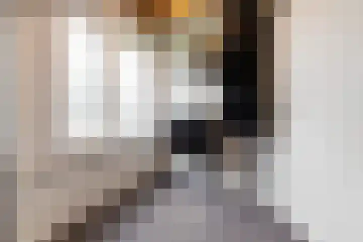 Wechterholt 4 b Wijhe thumbnail 44