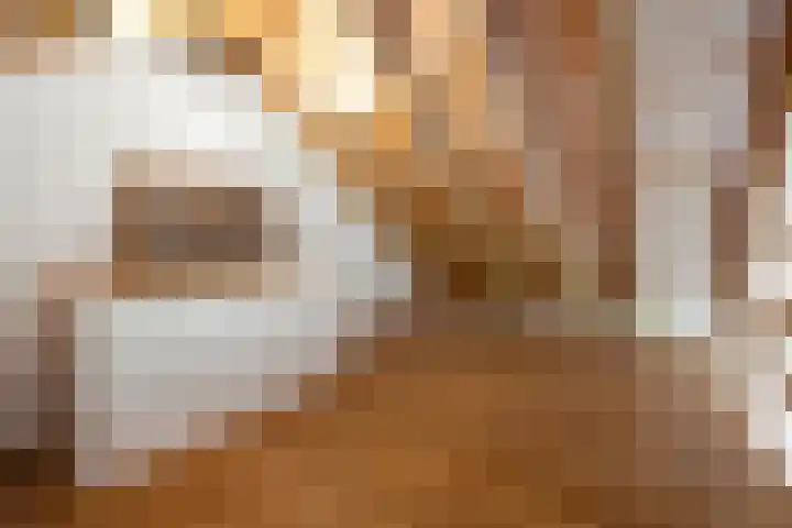 Wechterholt 4 b Wijhe thumbnail 48