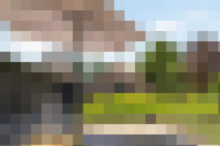 Wechterholt 4 b Wijhe thumbnail 49