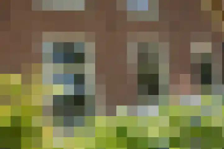 Wechterholt 4 b Wijhe thumbnail 5