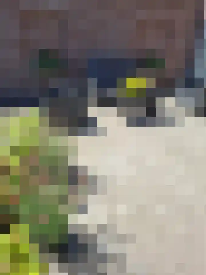 Wechterholt 4 b Wijhe thumbnail 53