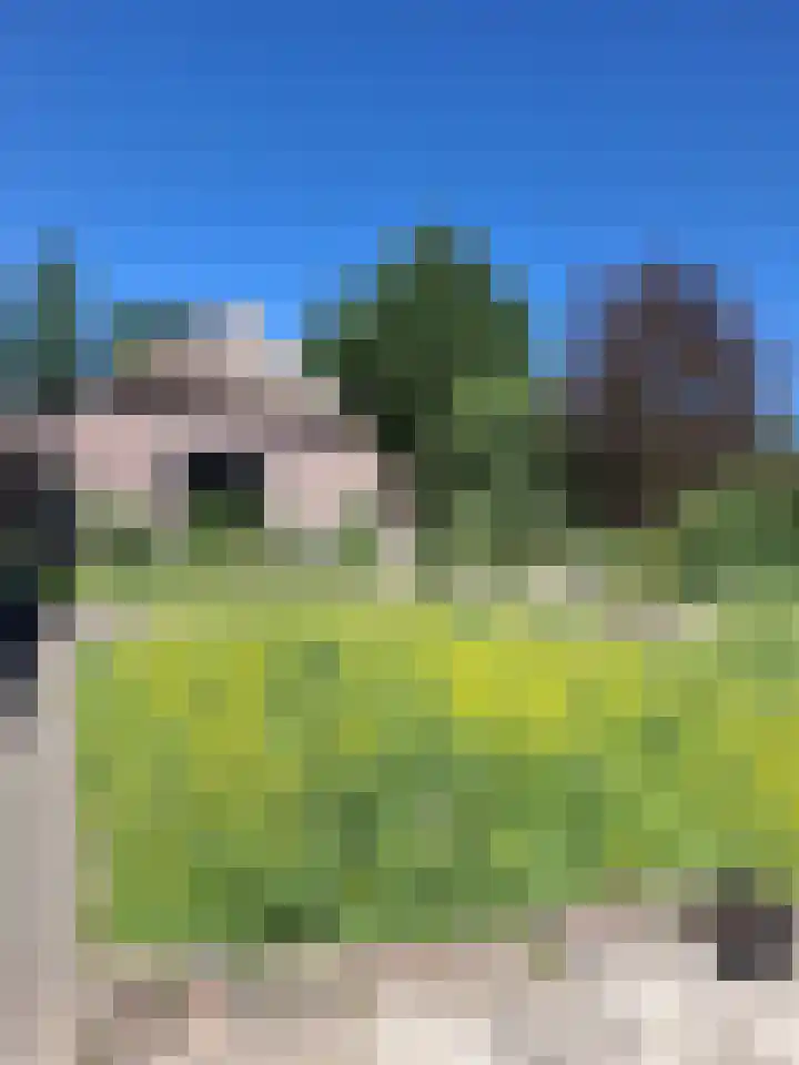 Wechterholt 4 b Wijhe thumbnail 54