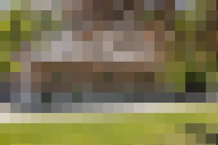 Wechterholt 4 b Wijhe thumbnail 55