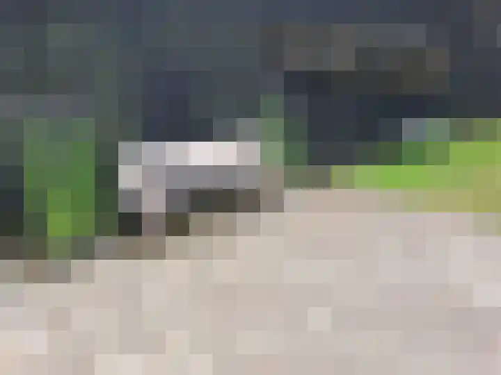 Wechterholt 4 b Wijhe thumbnail 56