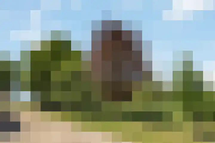 Wechterholt 4 b Wijhe thumbnail 58