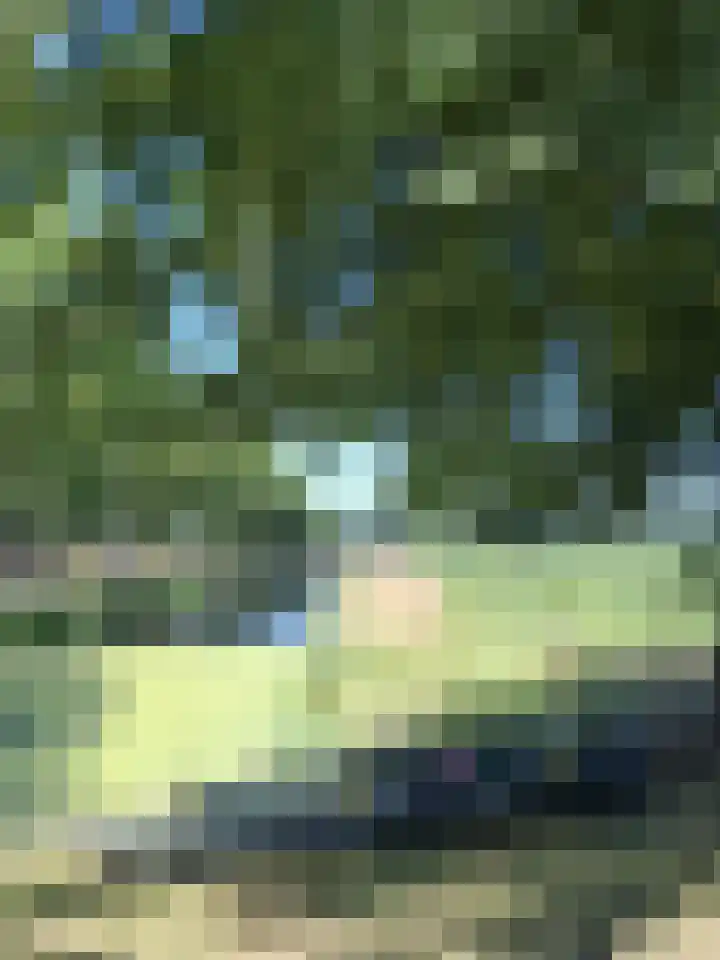 Wechterholt 4 b Wijhe thumbnail 59