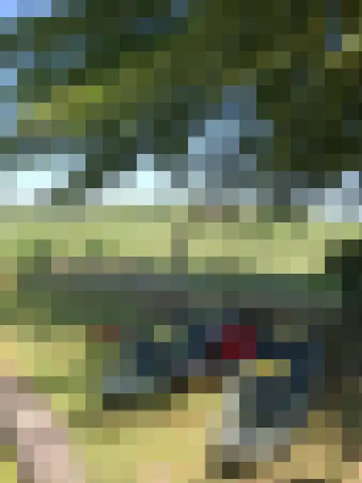 Wechterholt 4 b Wijhe thumbnail 60