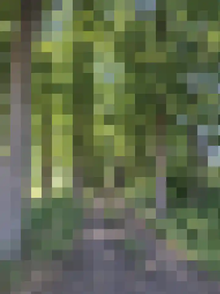 Wechterholt 4 b Wijhe thumbnail 63