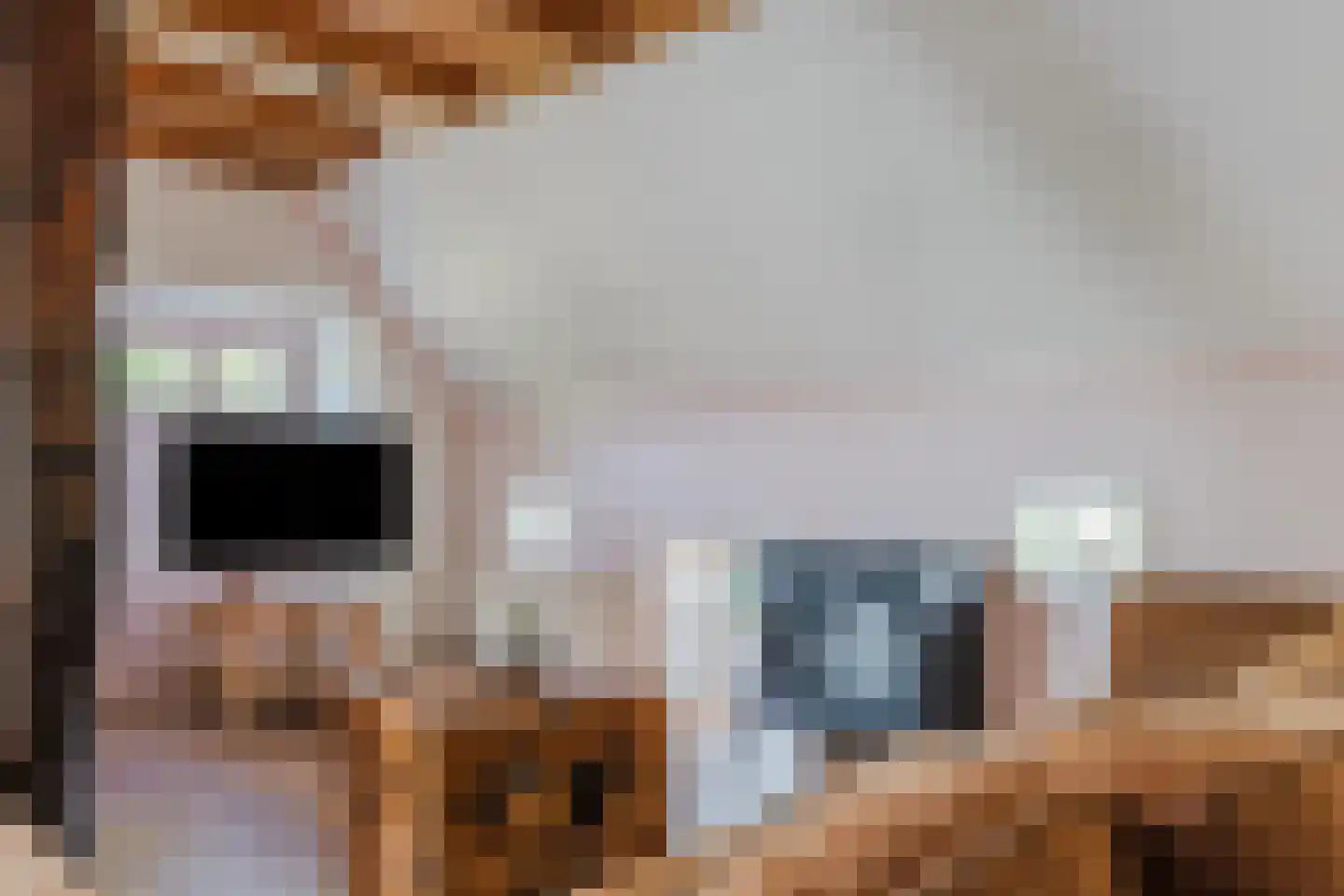Wechterholt 8 Wijhe thumbnail 11