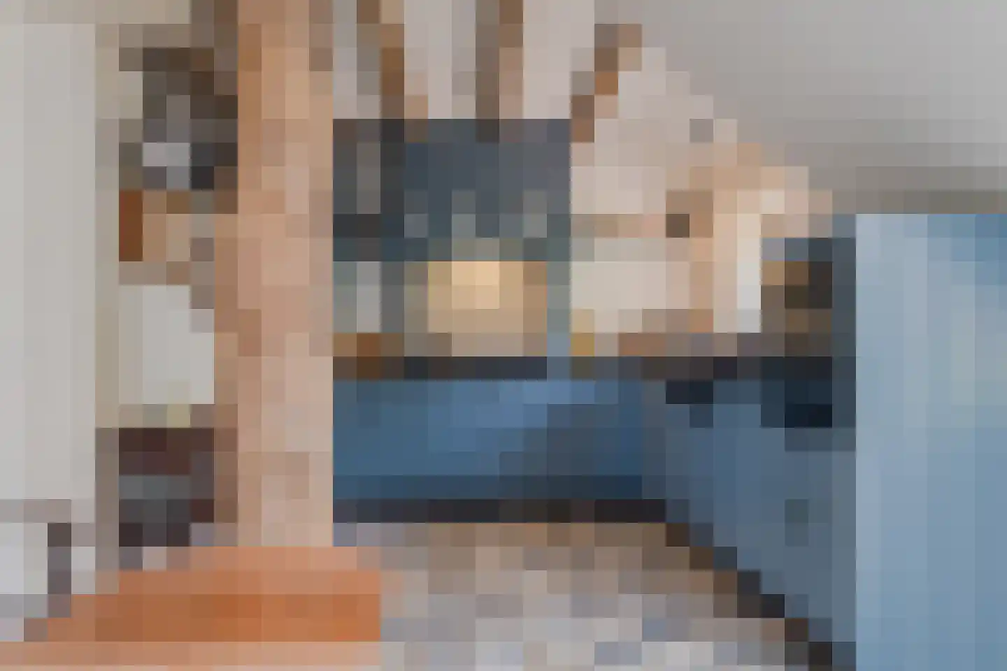 Wechterholt 8 Wijhe thumbnail 13
