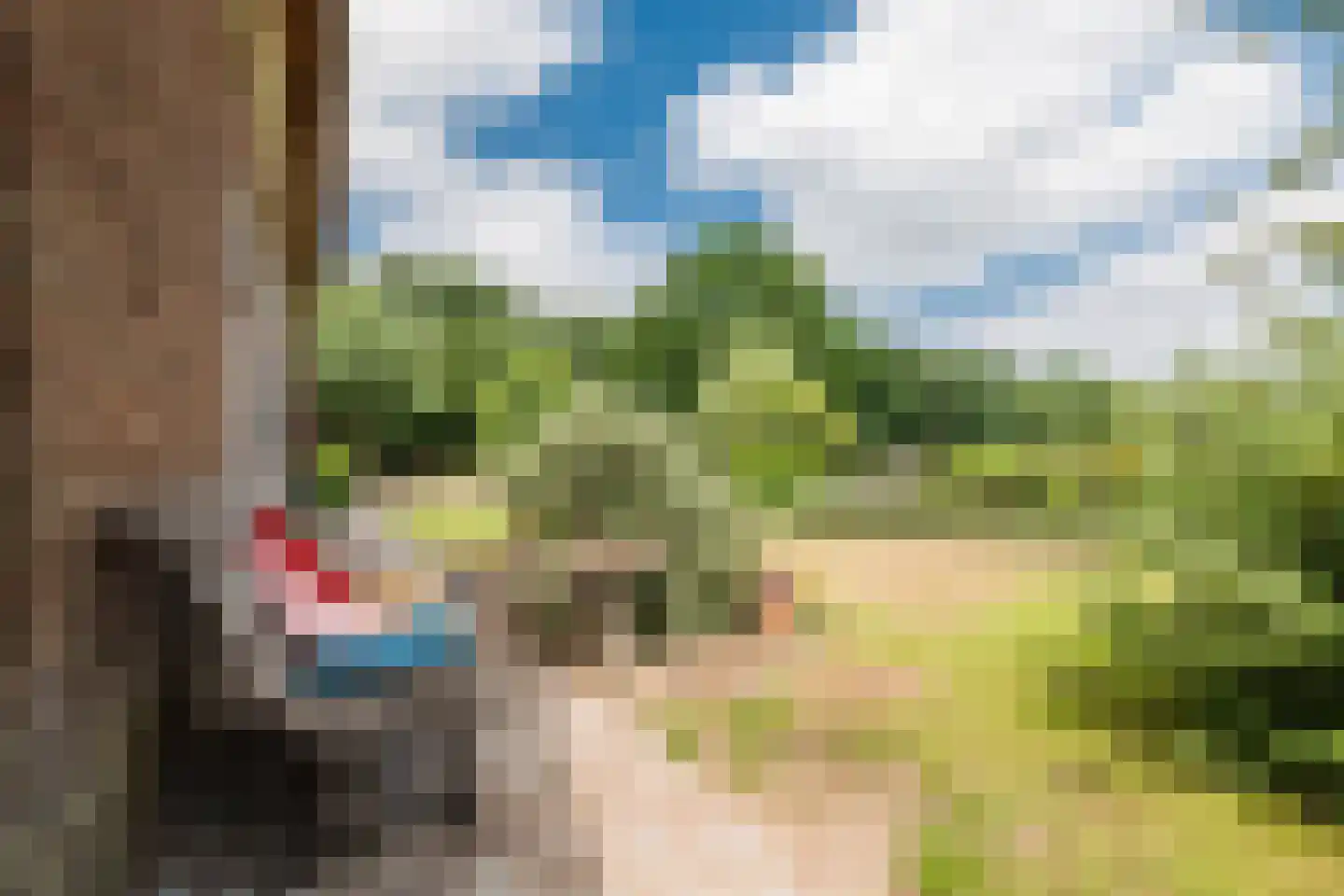 Wechterholt 8 Wijhe thumbnail 39