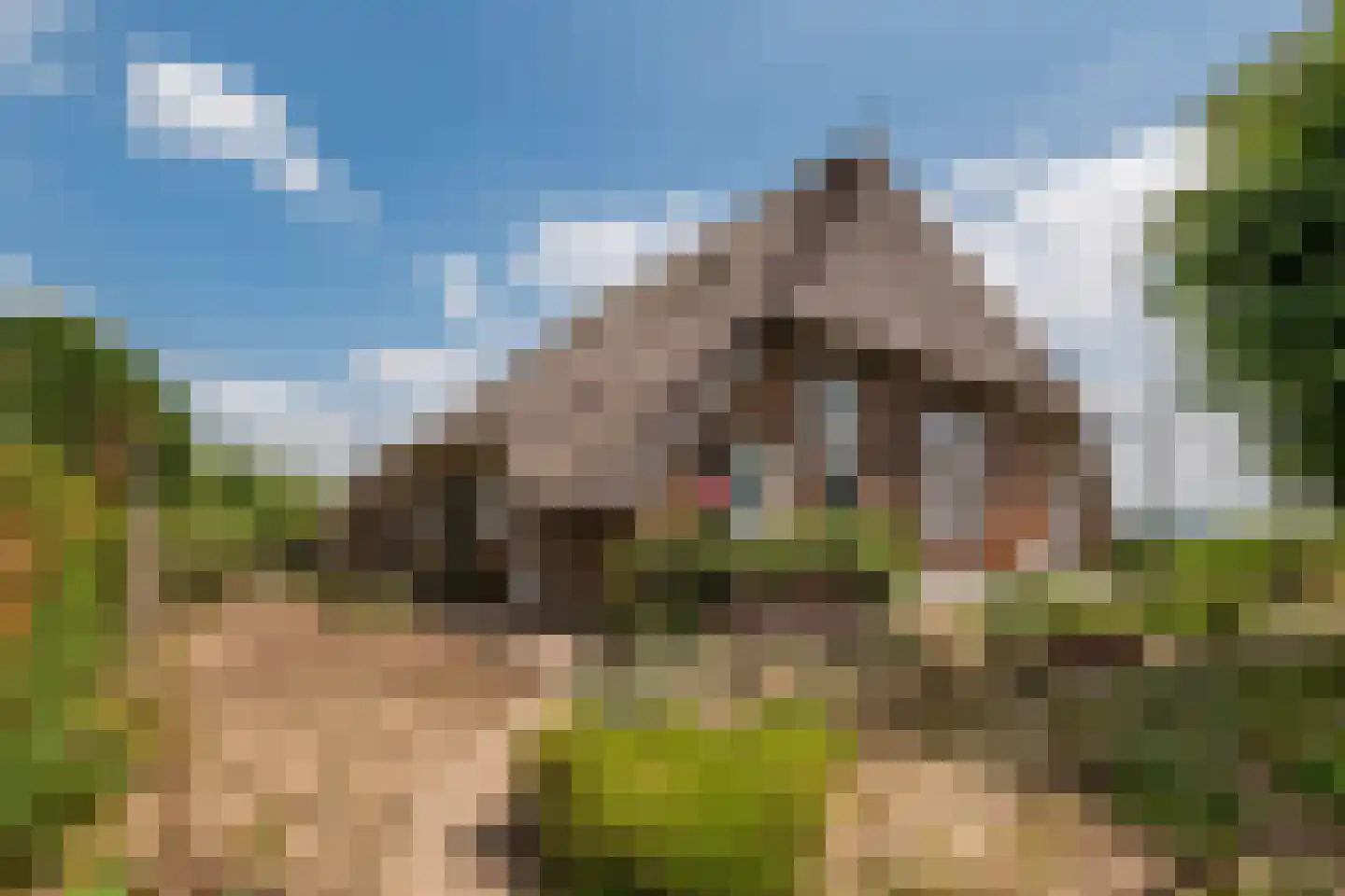Wechterholt 8 Wijhe thumbnail 4