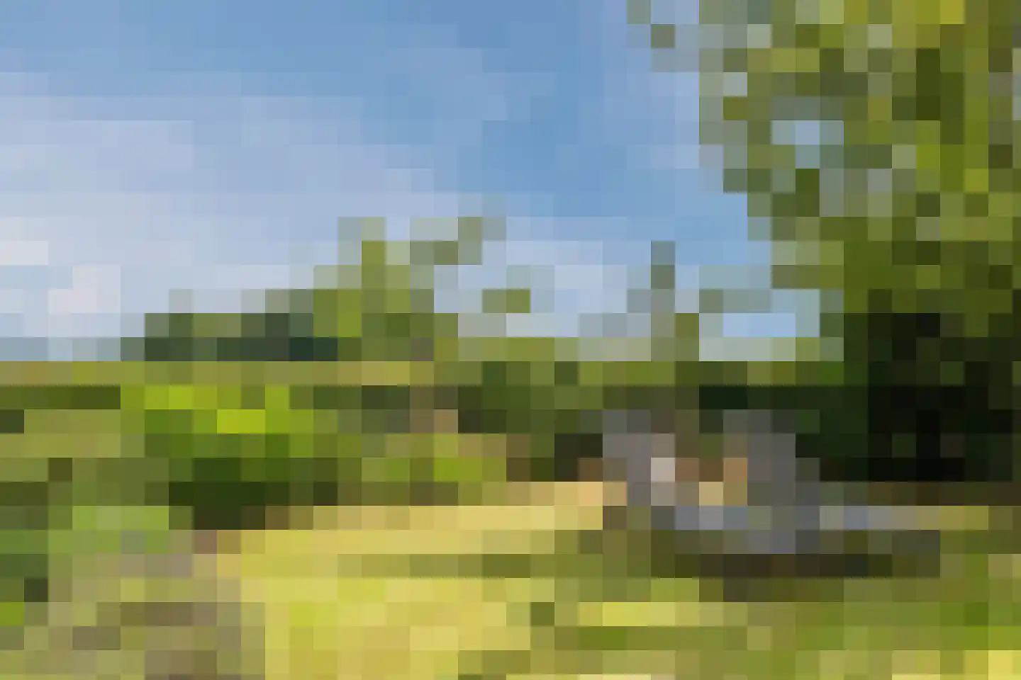 Wechterholt 8 Wijhe thumbnail 40