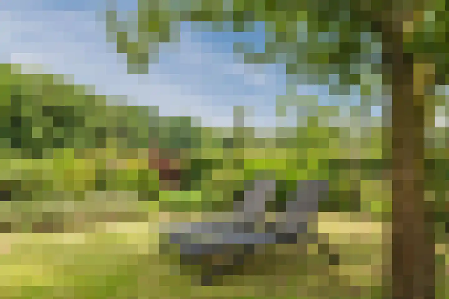 Wechterholt 8 Wijhe thumbnail 41