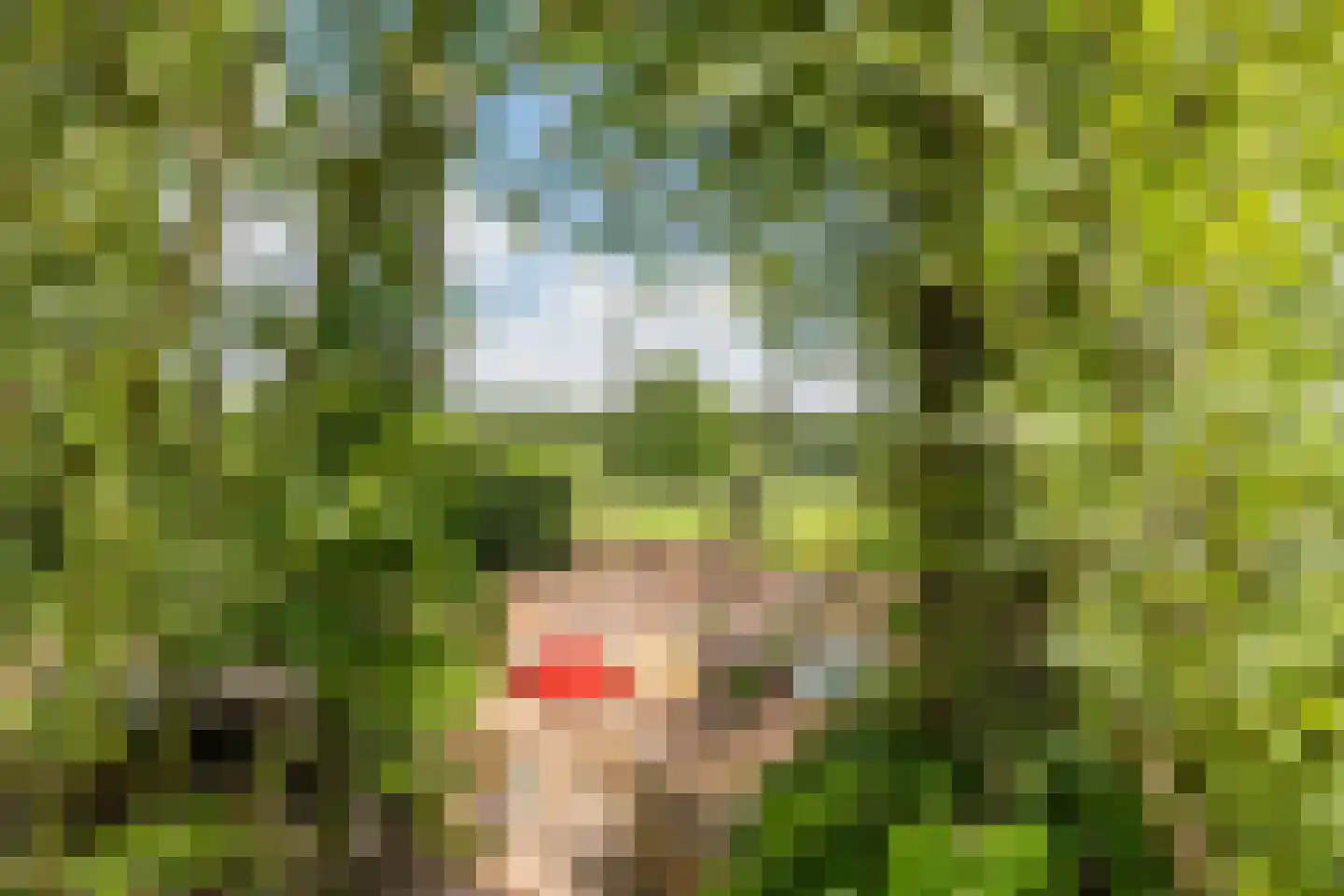 Wechterholt 8 Wijhe thumbnail 42