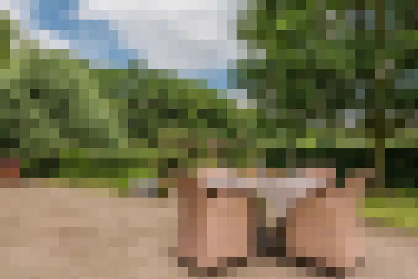 Wechterholt 8 Wijhe thumbnail 44