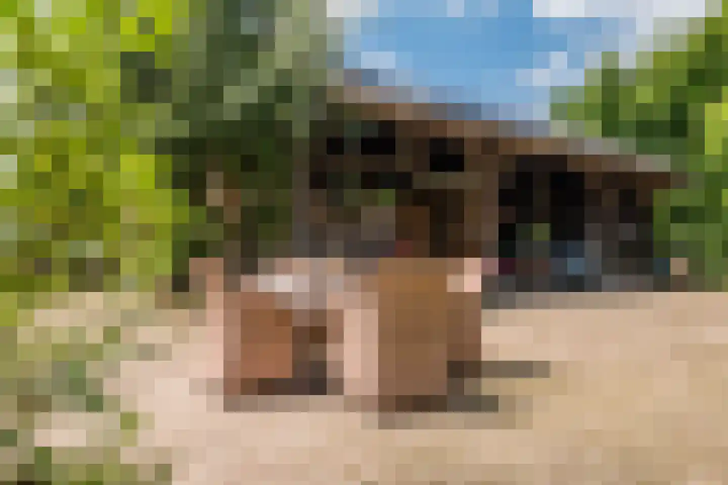 Wechterholt 8 Wijhe thumbnail 45