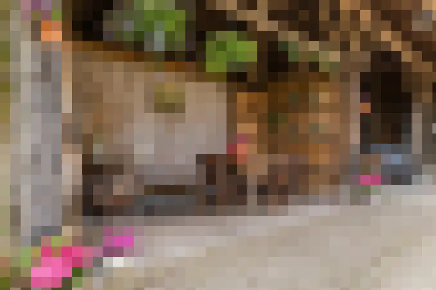 Wechterholt 8 Wijhe thumbnail 47