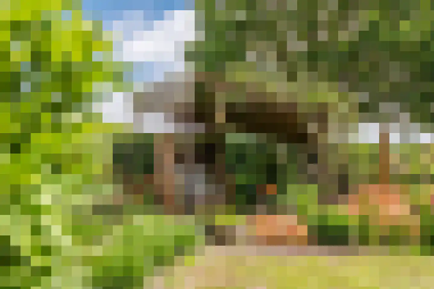 Wechterholt 8 Wijhe thumbnail 49