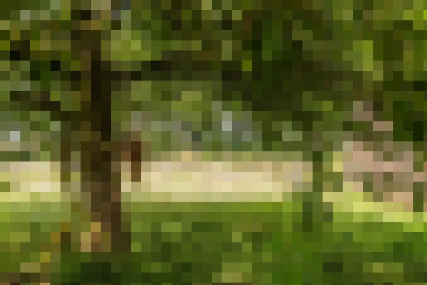 Wechterholt 8 Wijhe thumbnail 50