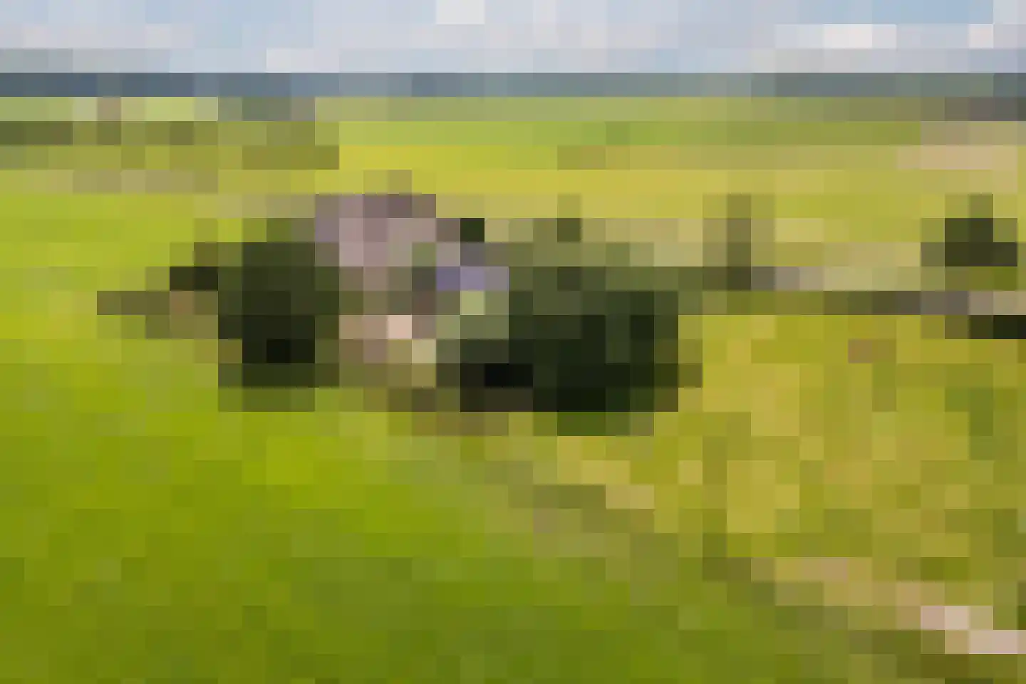 Wechterholt 8 Wijhe thumbnail 53
