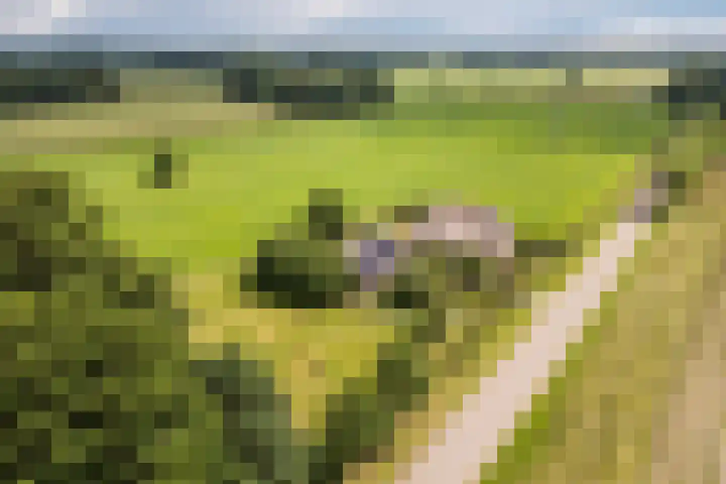 Wechterholt 8 Wijhe thumbnail 54
