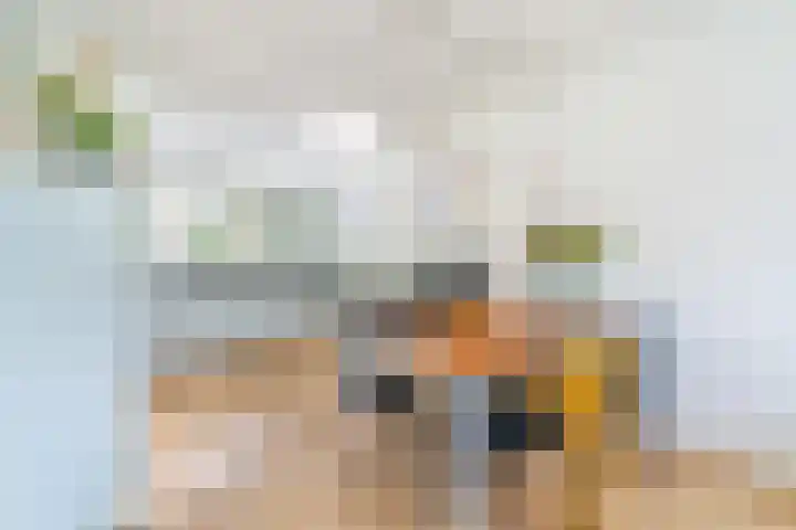 Wedde 1 Voorburg thumbnail 12