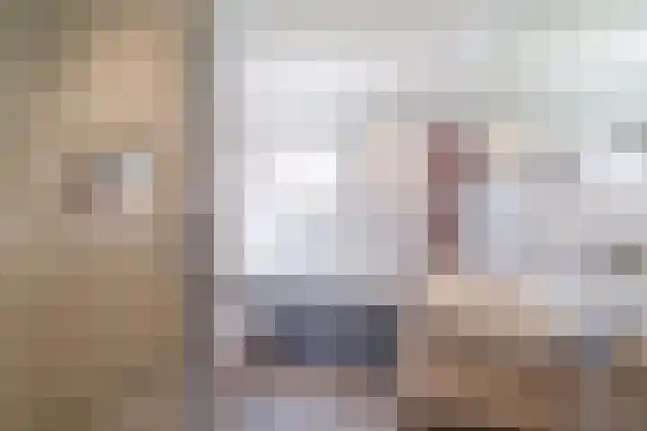 Wedde 1 Voorburg thumbnail 18