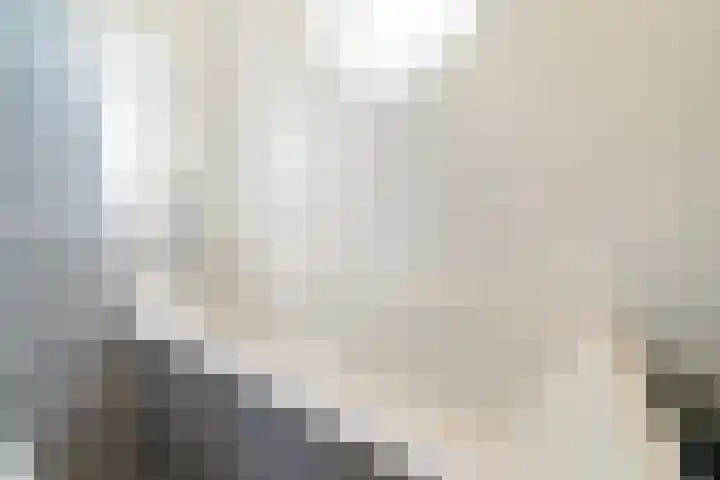 Wedde 1 Voorburg thumbnail 20