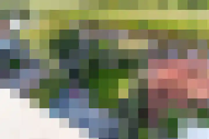 Wedde 1 Voorburg thumbnail 29