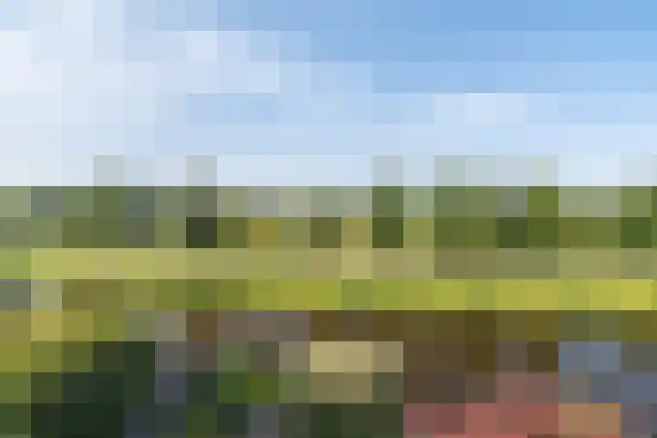 Wedde 1 Voorburg thumbnail 30