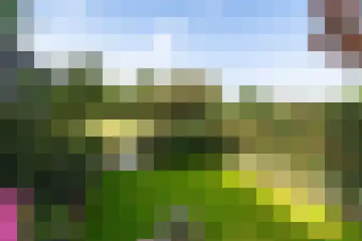 Wedde 1 Voorburg thumbnail 31