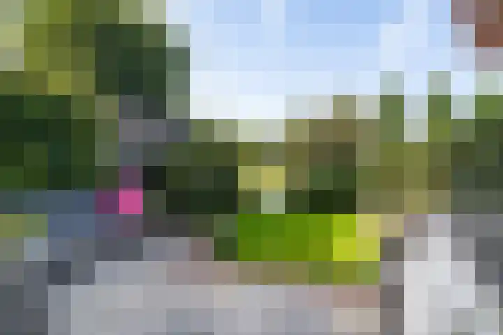 Wedde 1 Voorburg thumbnail 32