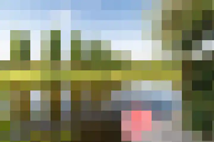 Wedde 1 Voorburg thumbnail 33