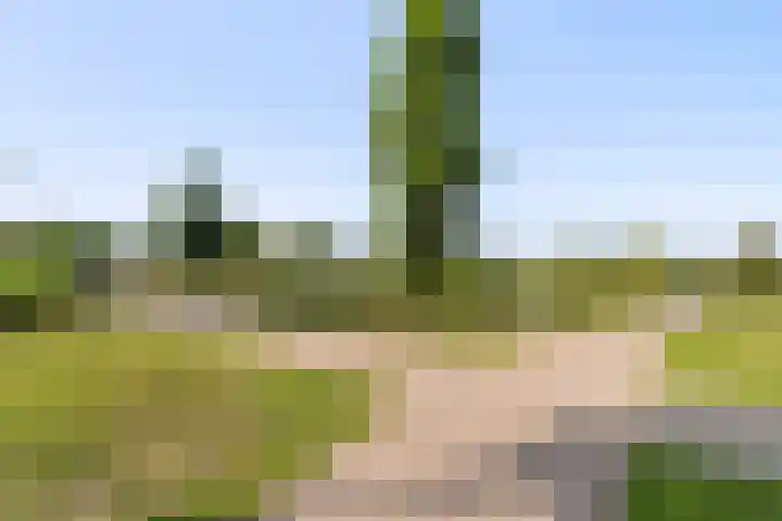 Wedde 1 Voorburg thumbnail 34