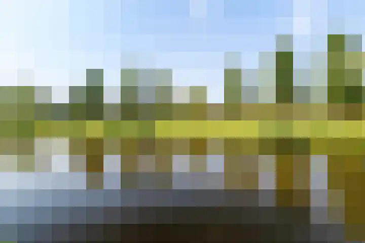 Wedde 1 Voorburg thumbnail 35