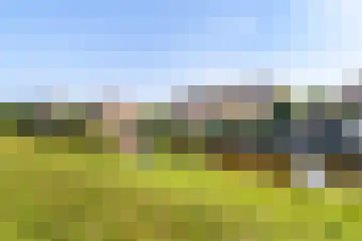Wedde 1 Voorburg thumbnail 40