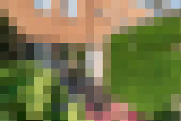 Wedde 1 Voorburg thumbnail 5