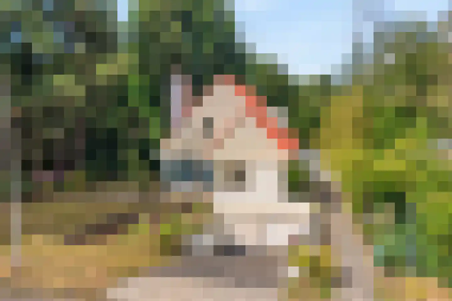 Weddehoenlaan 1 Goor