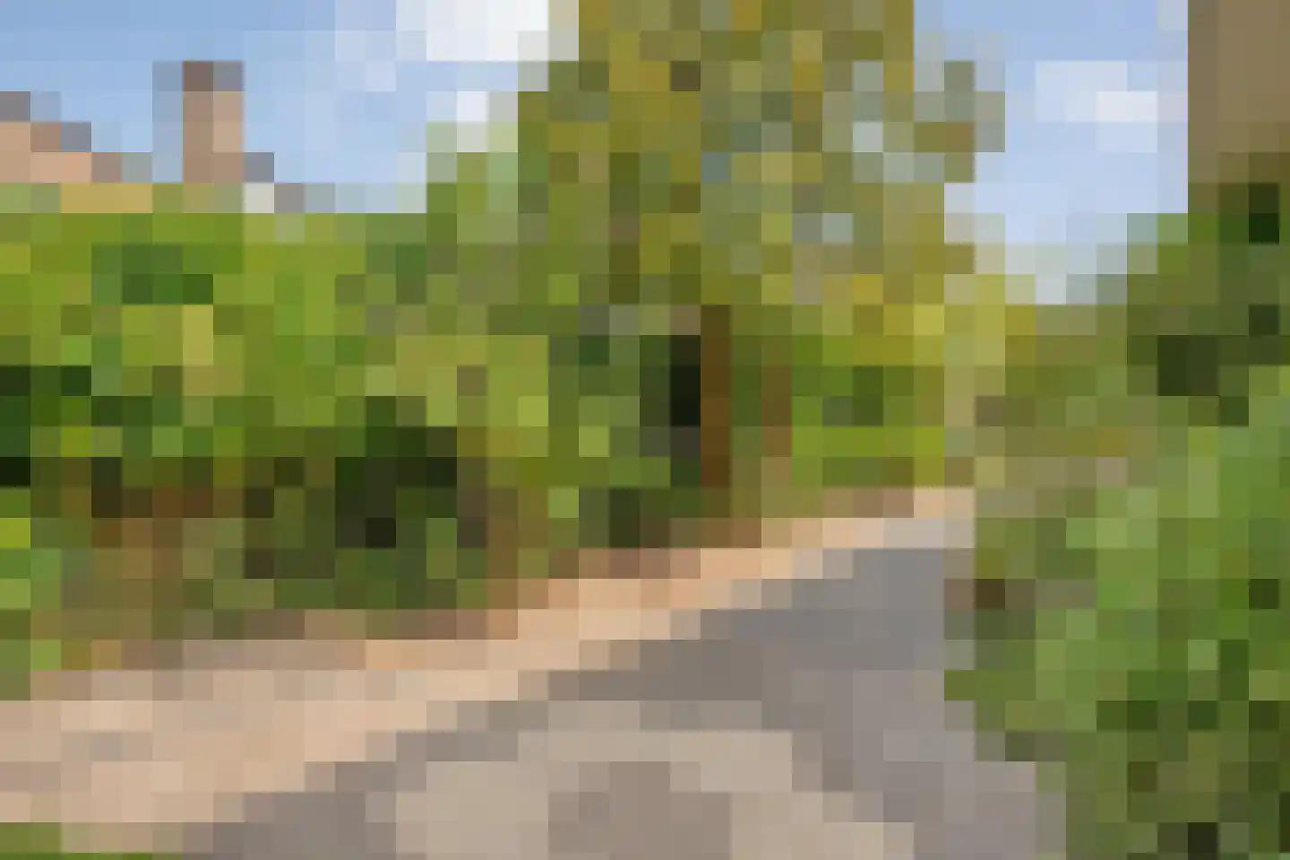 Weddehoenlaan 1 Goor thumbnail 14