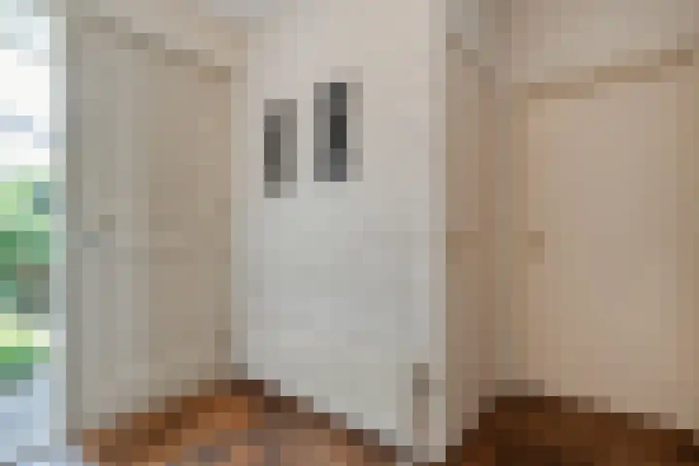 Weddehoenlaan 1 Goor thumbnail 16