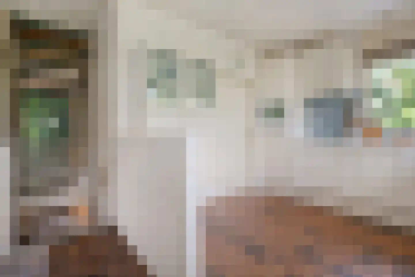 Weddehoenlaan 1 Goor thumbnail 22